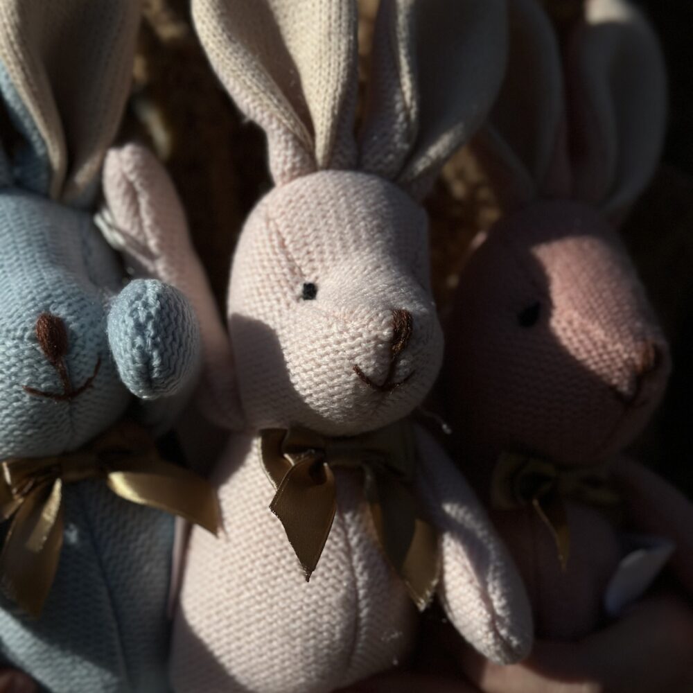 MY BUNNY